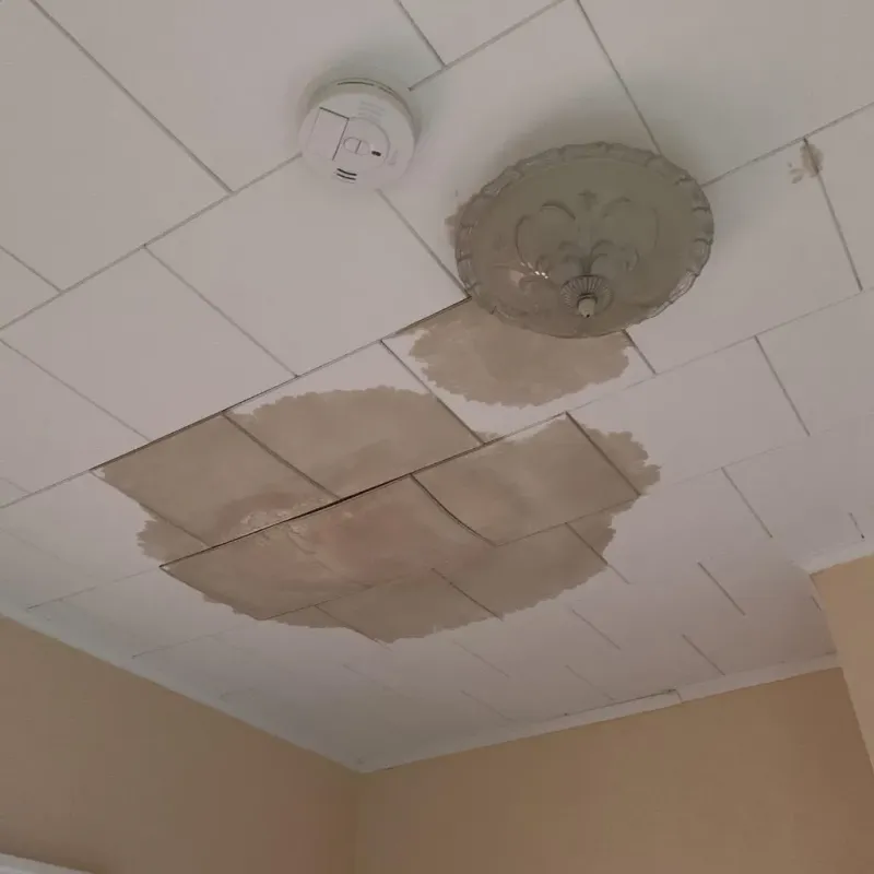 Ceiling Water Damage Repair in New Middletown, OH