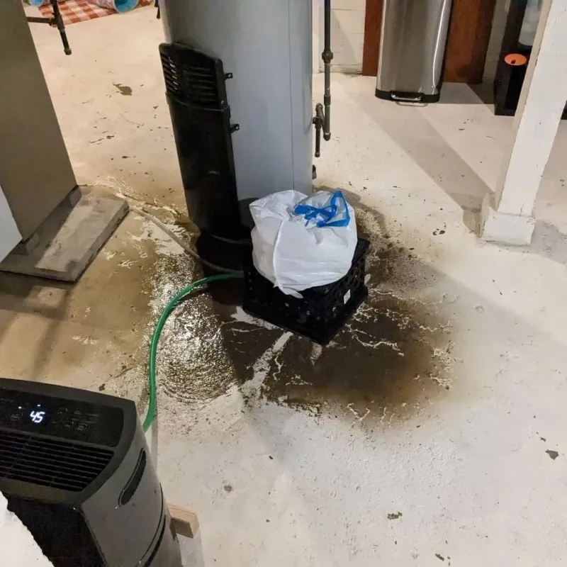 Sewage Backup Cleanup Service in New Middletown, OH